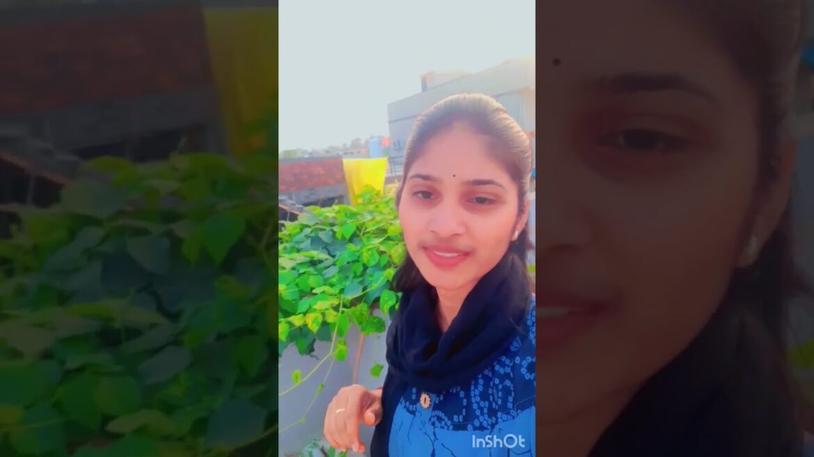 gardening work 😊#tips # gardener #shorts  #trending #viral #youtube #minivlog