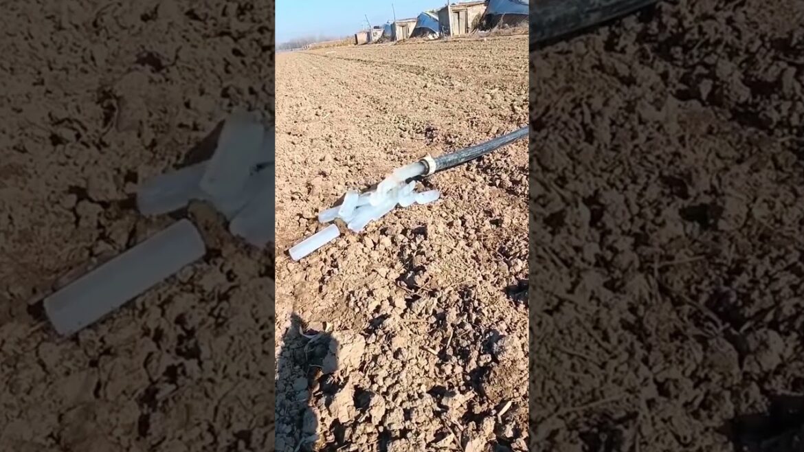 PE irrigation tubes #shorts #technology #art #plants #gardening #agriculture #lawn