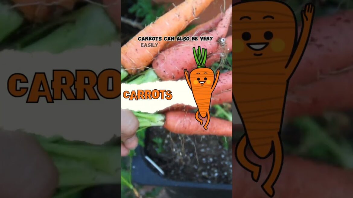 Top 5 Veggies for Container Gardens! 🌱🪴 #Shorts