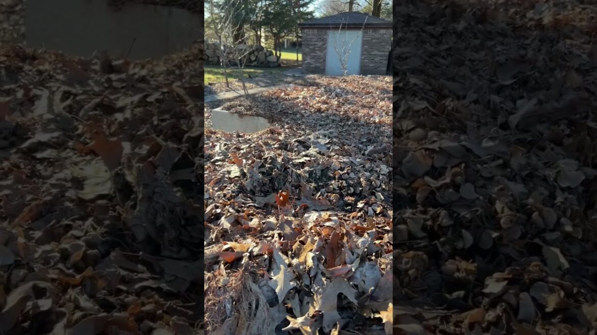 It’s Less Carbon To Ship Produce Than Grow Your Own? #gardencarbon, #gardenisruiningplanet, #carbon It’s Less Carbon To Ship Produce Than Grow Your Own? #gardencarbon, #gardenisruiningplanet, #carbon