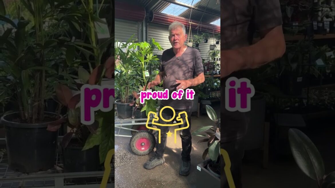 Join Our FB Live TODAY At 12 PM For A FREE Indoor Plants Class!🪴🌱