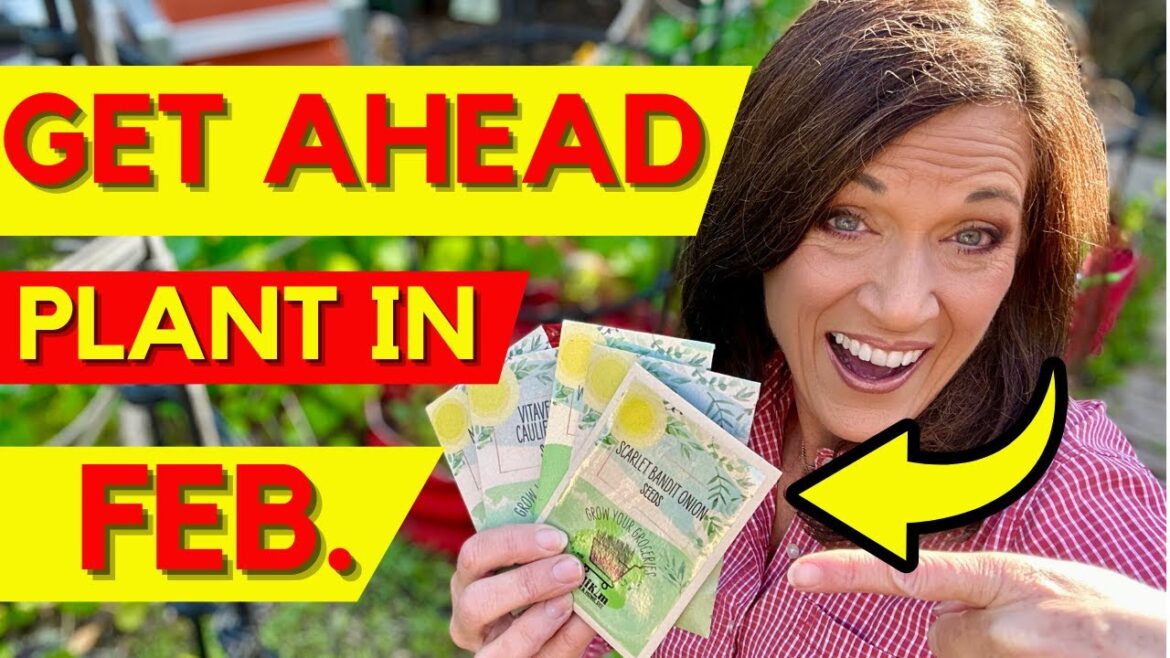 Get Ahead in Feb: Vegetables You Should Plant NOW in February