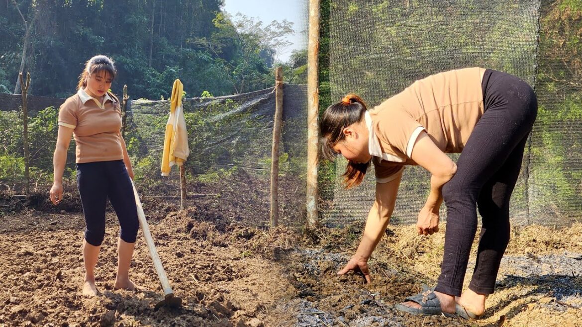 Hoeing soil for vegetable gardening - Daily life of girl living in the forest - Off Grid Living