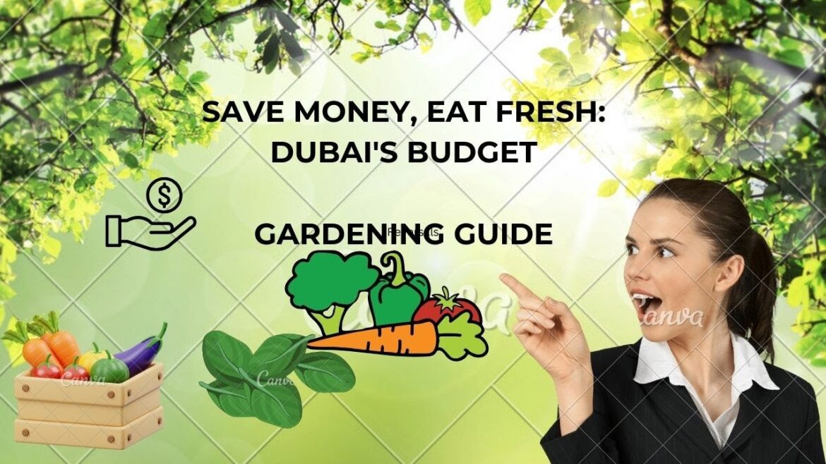 No yard, no problem!  Simple container gardening for Dubai