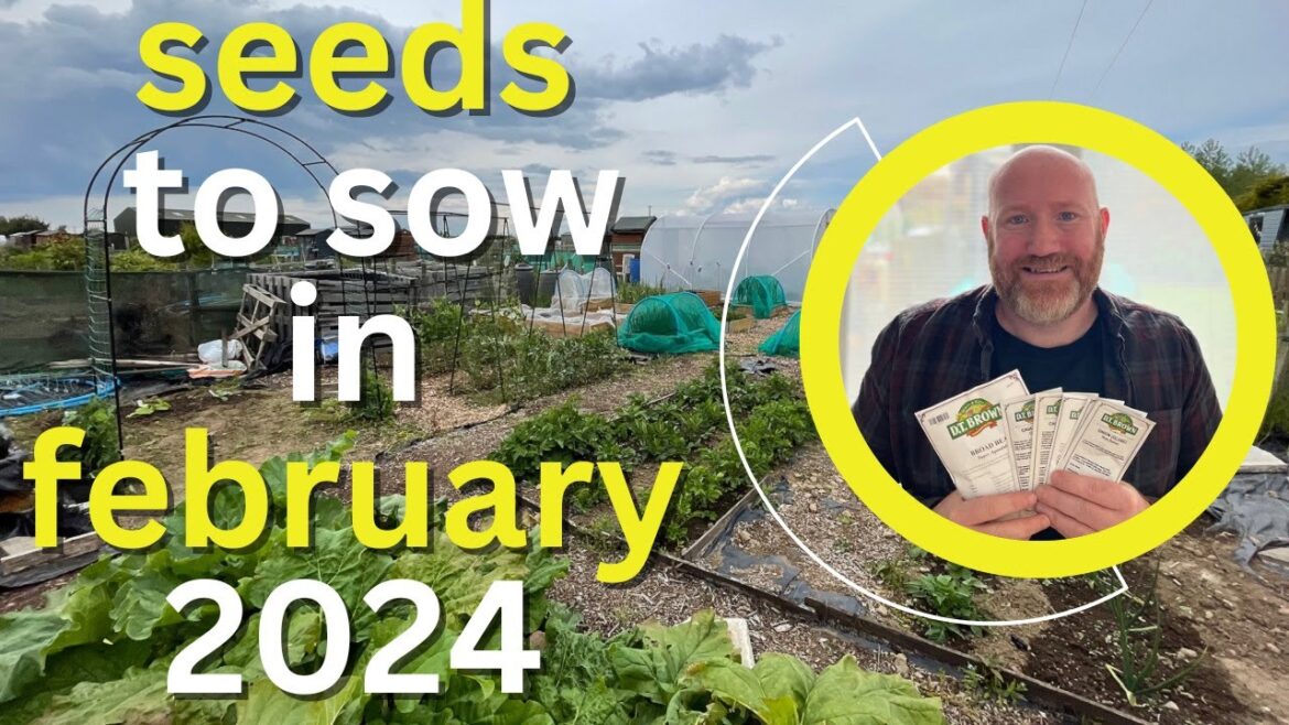 February Gardening: Top Seeds to Sow for Spring