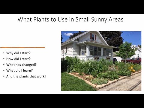 Green Dialogue: Landscaping with Native Plants in an Urban Space Green Dialogue: Landscaping with Native Plants in an Urban Space