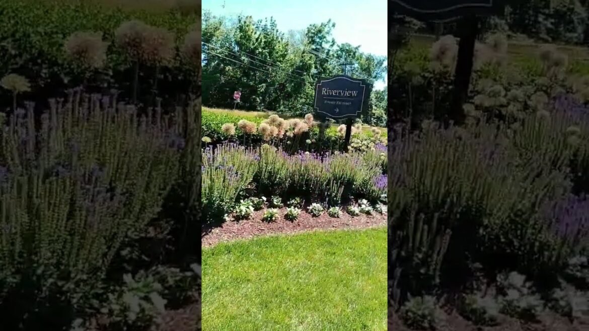 Beautiful Landscaping Tips – Part 1 Beautiful Landscaping Tips - Part 1