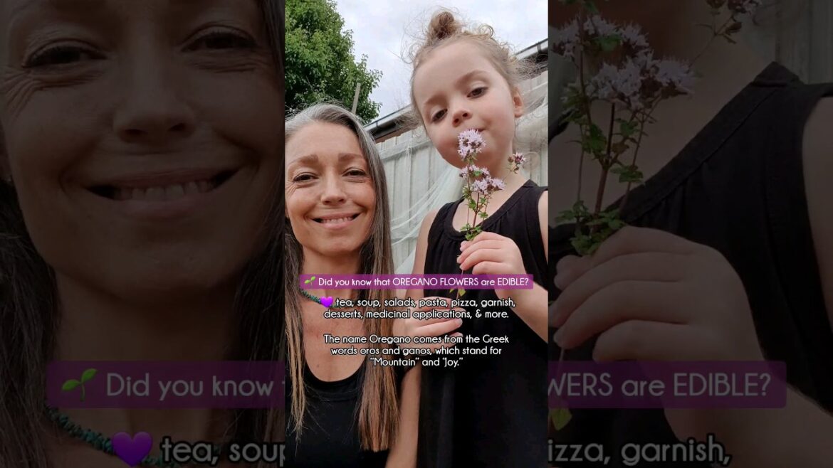 🌱 Did you know that OREGANO FLOWERS are EDIBLE? 💜