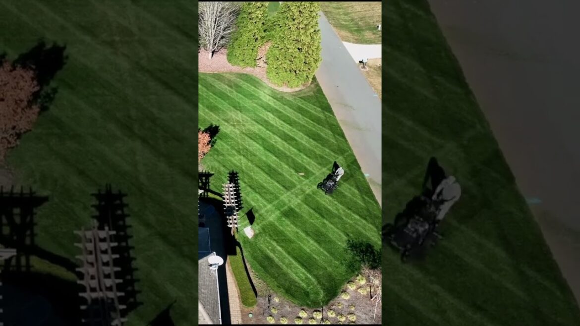 Big League Lawns CheckMate on sale at www.gciturfacademy.com use coupon code STRIPER15 for 15% off.