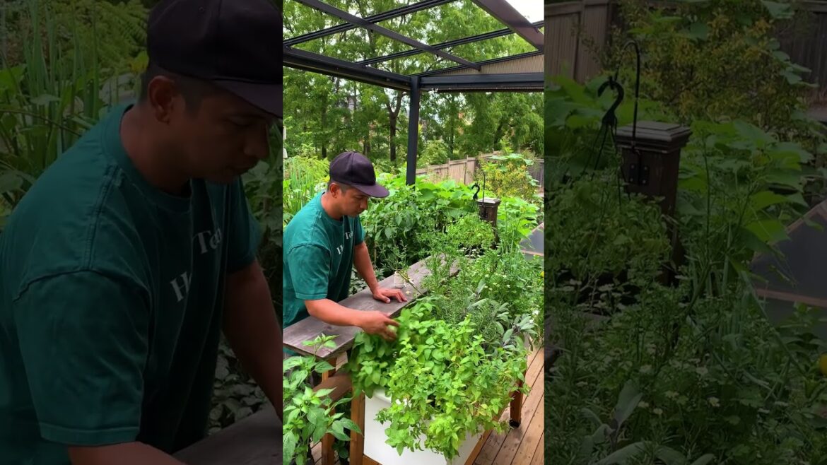 It's February and here's what seeds to start indoors