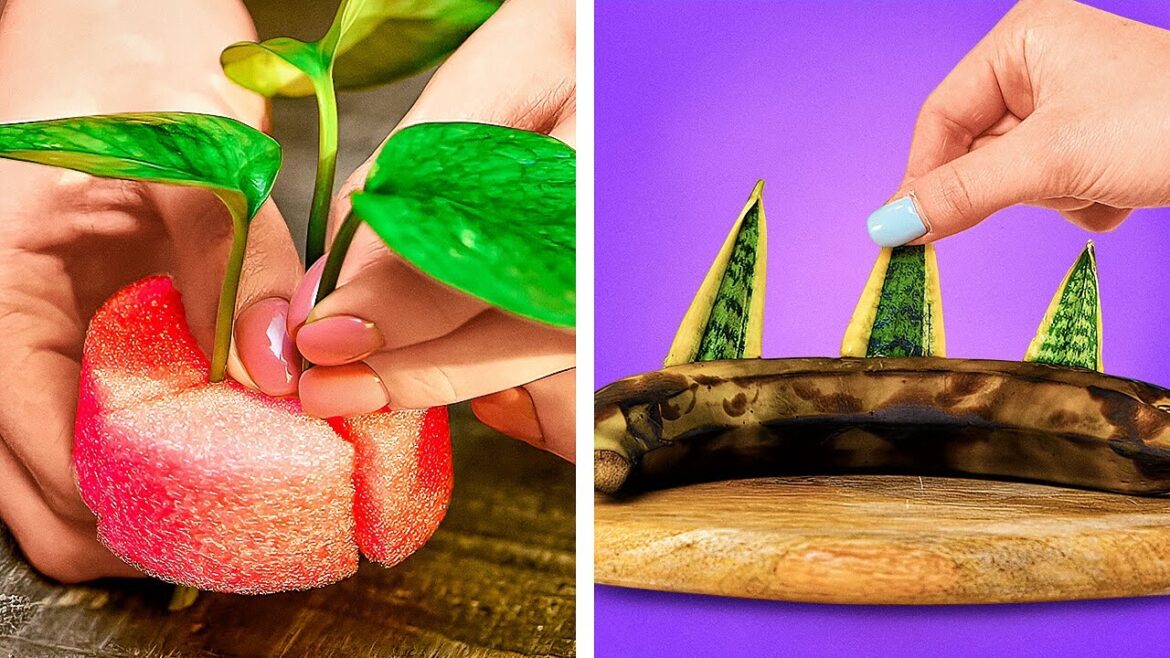 Expert Gardening Tips for a Blooming Paradise!