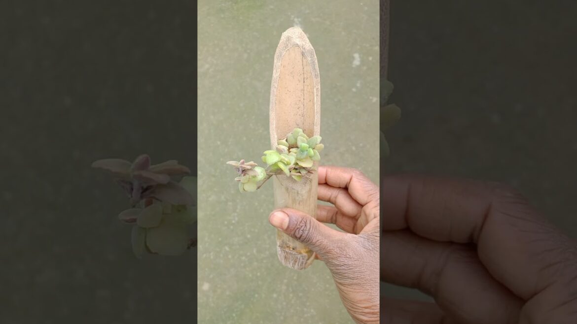 how to make flower pot for home decoration #youtube #gardening #decor #crafts #cutting #viral how to make flower pot for home decoration #youtube #gardening #decor #crafts #cutting #viral