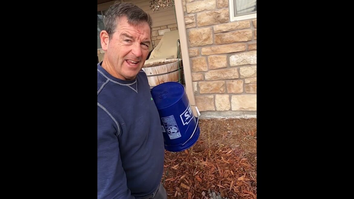 How to Protect Your Garden from a Cold Snap #gardening How to Protect Your Garden from a Cold Snap #gardening