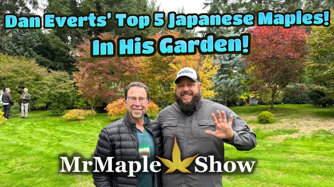 Top 5 Japanese Maples in Dan Everts’ Garden! See the Trees on Location in this Incredible Garden!