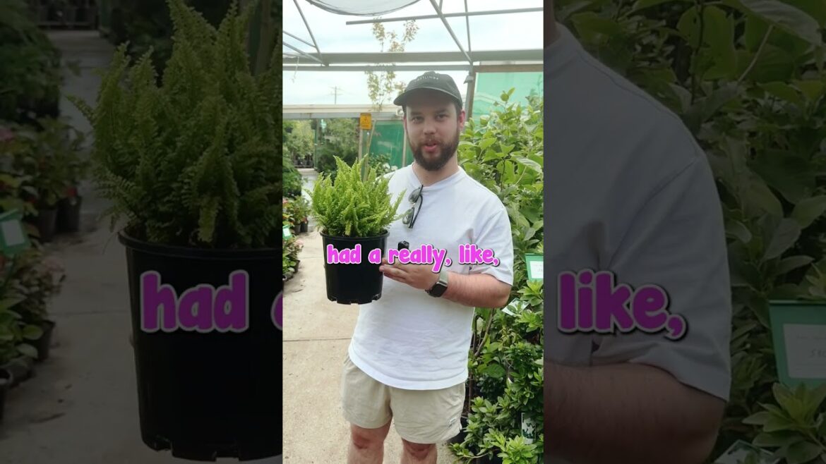 What Are You Shopping For??👀😃🌿🛒 Part 3