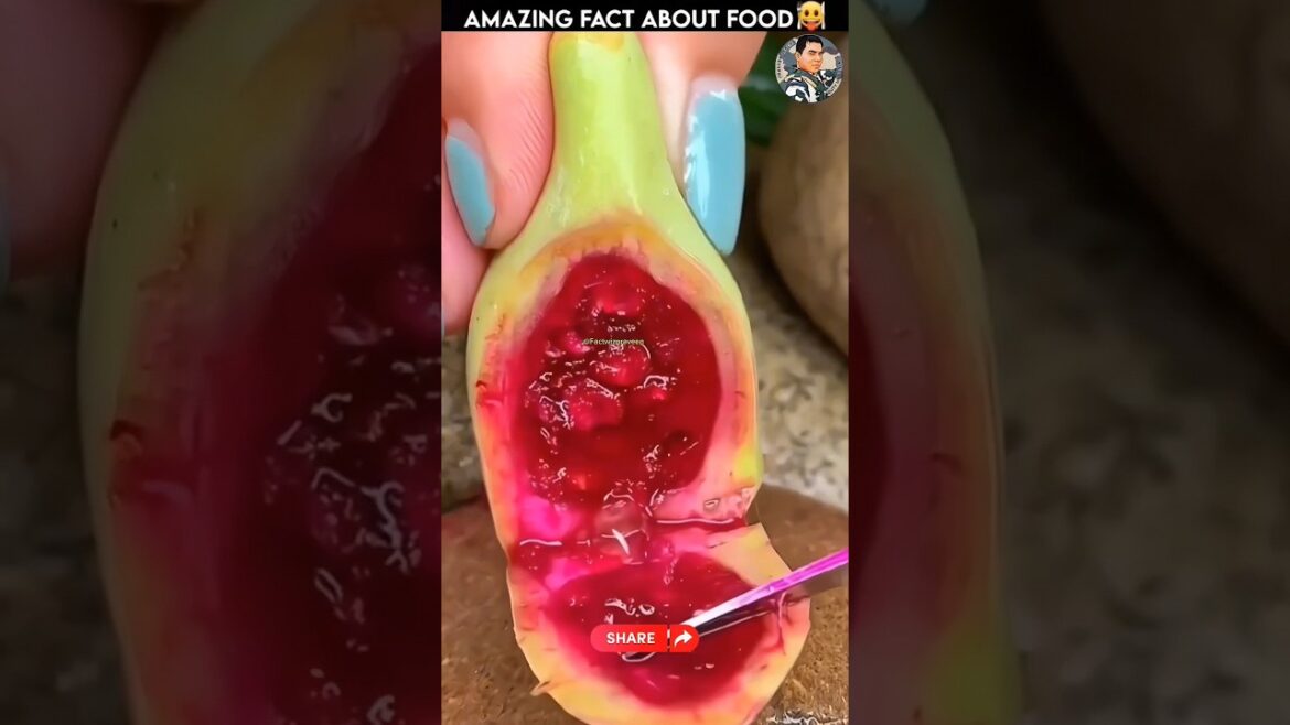 Fruit Ninja🥑🥝🍒 #22| Fruit Cutting | Nature Creation #Shorts #trending #youtubeshorts