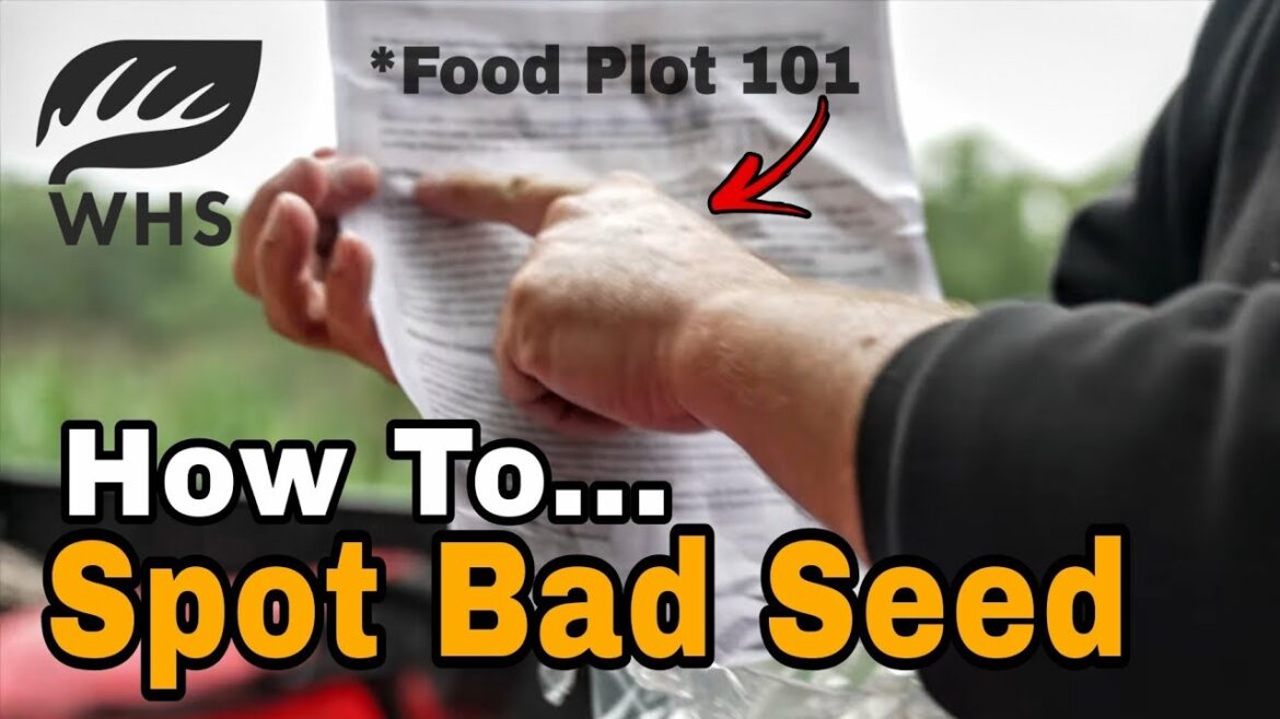 3 Bad Food Plot Seed Trends