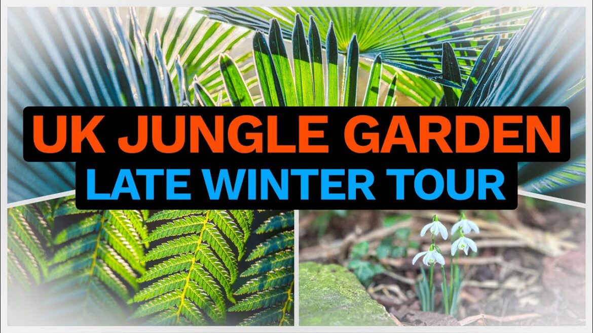UK Jungle Garden Late Winter Tour - Exotic Evergreens & Tropical Plant Plans