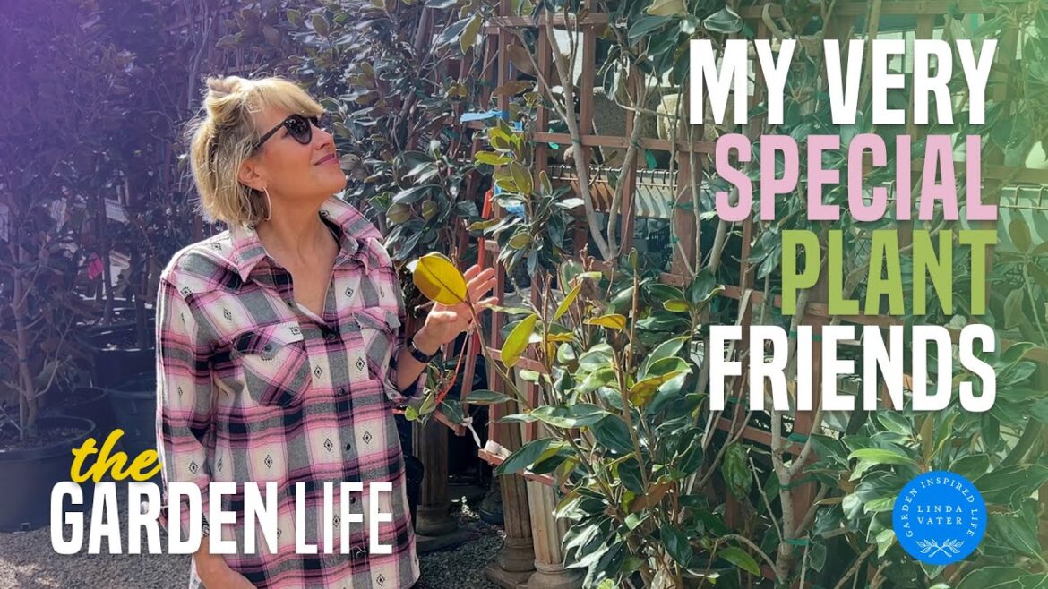 Visiting Very Special Plant Friends in the Greenhouse