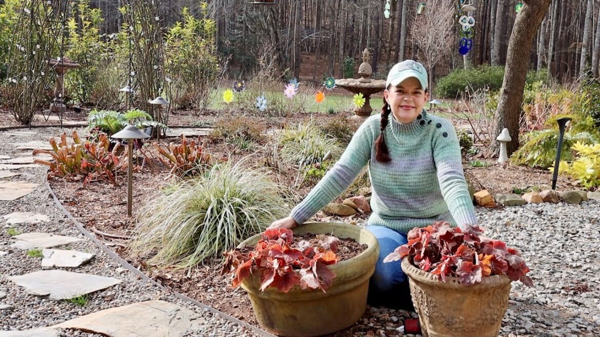 How To Successfully Move a Plant How To Successfully Move a Plant