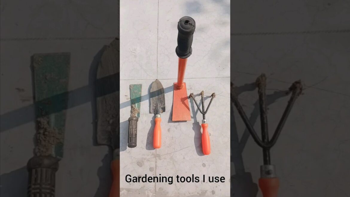 गार्डनिंग टूल्स जो मैं टेरेस गार्डन में उपयोग करता हूँ | Gardening tools I use in terrace gardening|