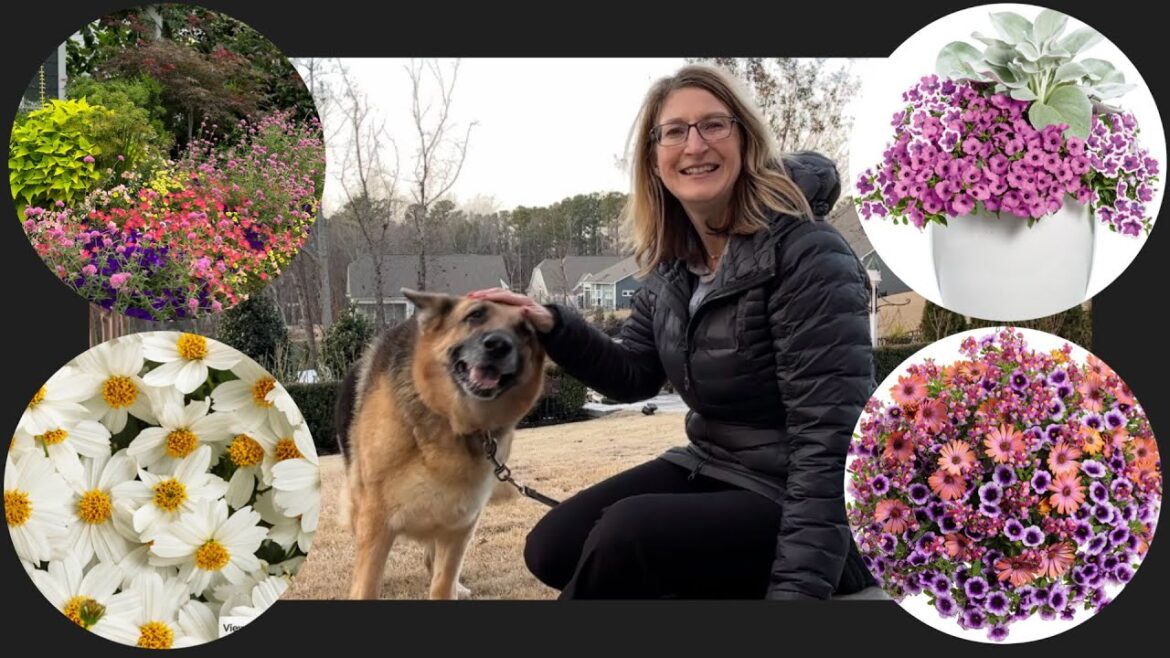 From Dreaming To Growing: Captivating Summer Gardens With Stunning Blooms! From Dreaming To Growing: Captivating Summer Gardens With Stunning Blooms!