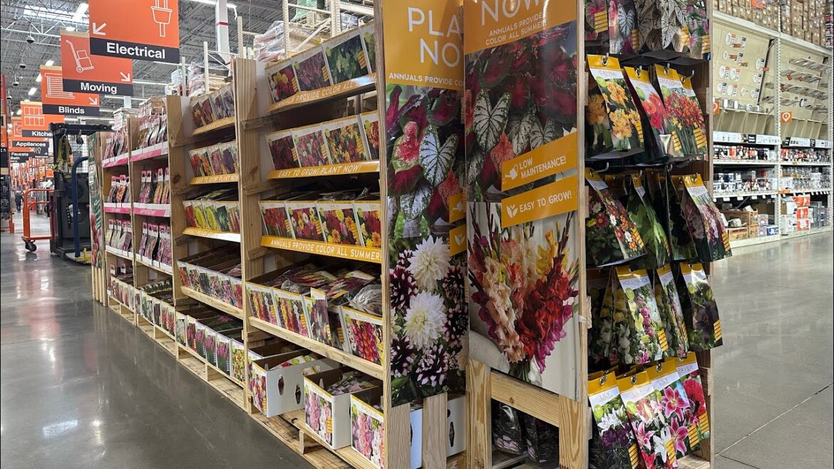 HOME DEPOT 2024 IMPRESSIVE SUMMER BULB INVENTORY🌸🥔🍓🫐SHOP WITH ME🛒 HOME DEPOT 2024 IMPRESSIVE SUMMER BULB INVENTORY🌸🥔🍓🫐SHOP WITH ME🛒