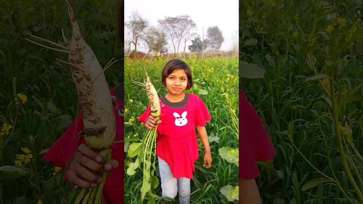 Hamare khet me kitni moti muli #viral #dance #dancewithavni #dancegenre #funny #avni #dancestyle