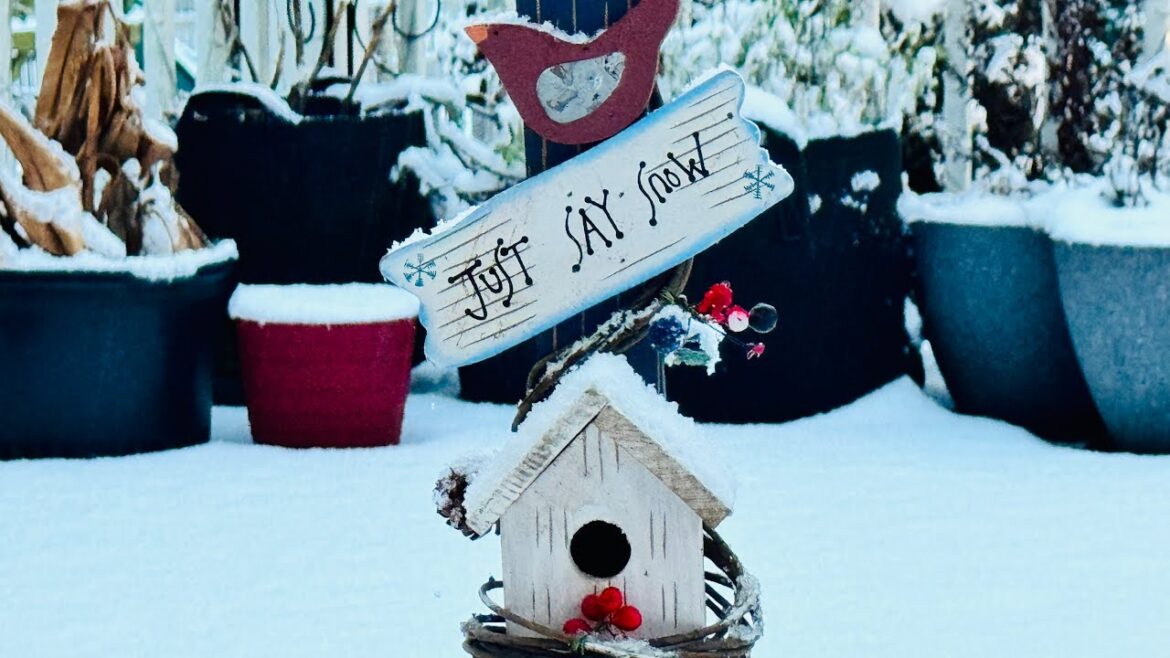 January Snow Garden Tour | Nature sound | Winter Garden walk Tour | Backyard Garden Highlights January Snow Garden Tour | Nature sound | Winter Garden walk Tour | Backyard Garden Highlights
