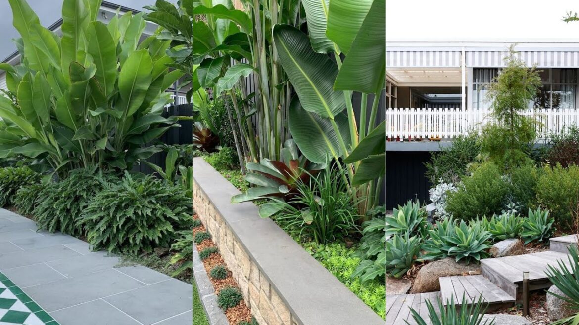 Garden design landscaping | landscaping vegetable garden design | Garden ideas and landscape design