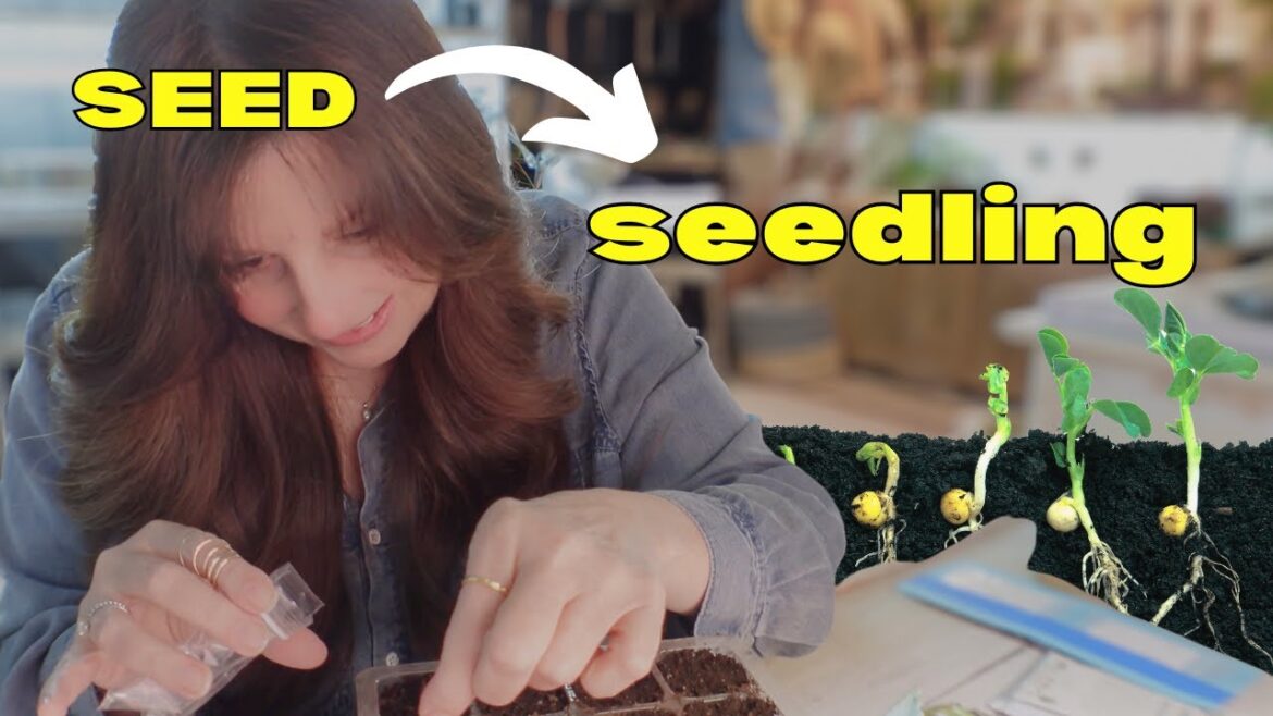 Spent SO MUCH Growing Seeds Until I Used These HACKS || Suburban Garden Spent SO MUCH Growing Seeds Until I Used These HACKS || Suburban Garden