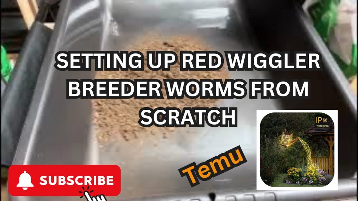 Setting up the Red Wiggler Breeder Bin from Scratch, Temu Garden #redwigglers #vermicompost #worms Setting up the Red Wiggler Breeder Bin from Scratch, Temu Garden #redwigglers #vermicompost #worms