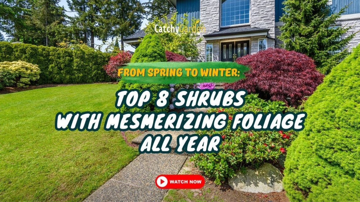 From Spring to Winter: 8 Shrubs with Mesmerizing Foliage All Year 🌸❄️🍂 // Gardening Ideas