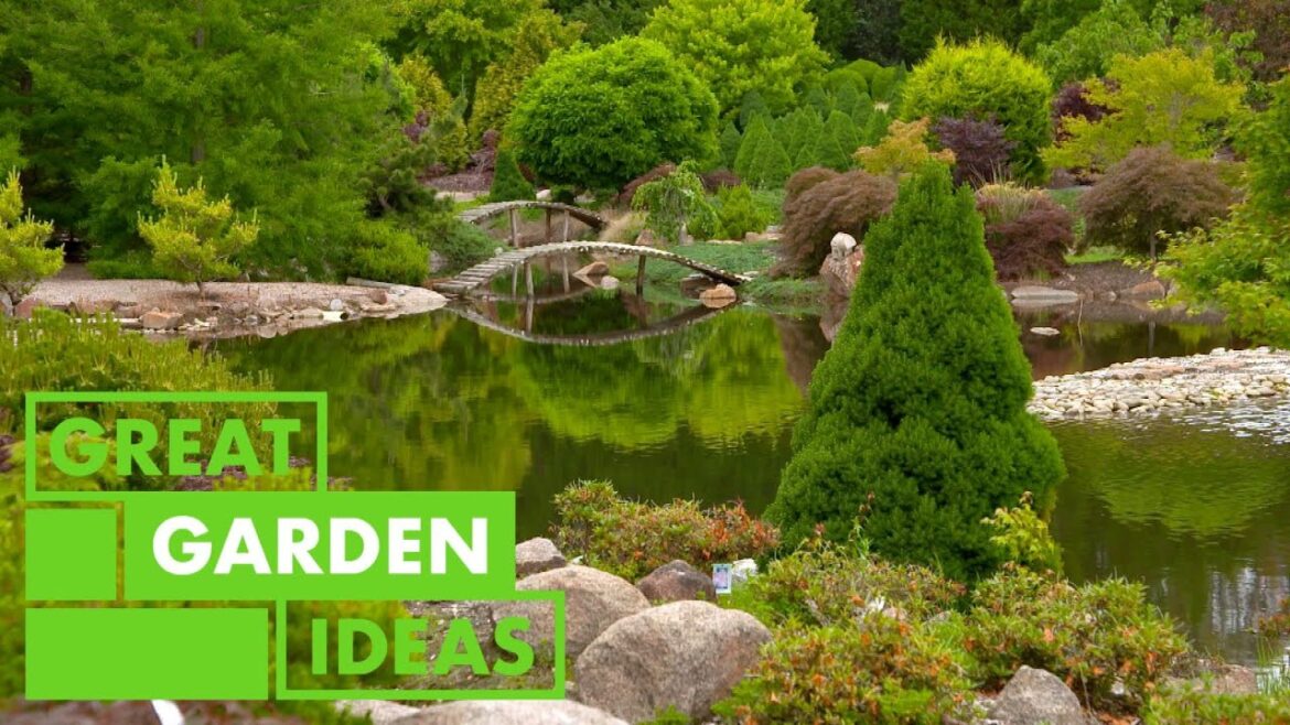 All about Maples | GARDEN | Great Home Ideas