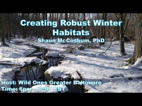 Creating Robust Winter Habitat in Your Garden Creating Robust Winter Habitat in Your Garden