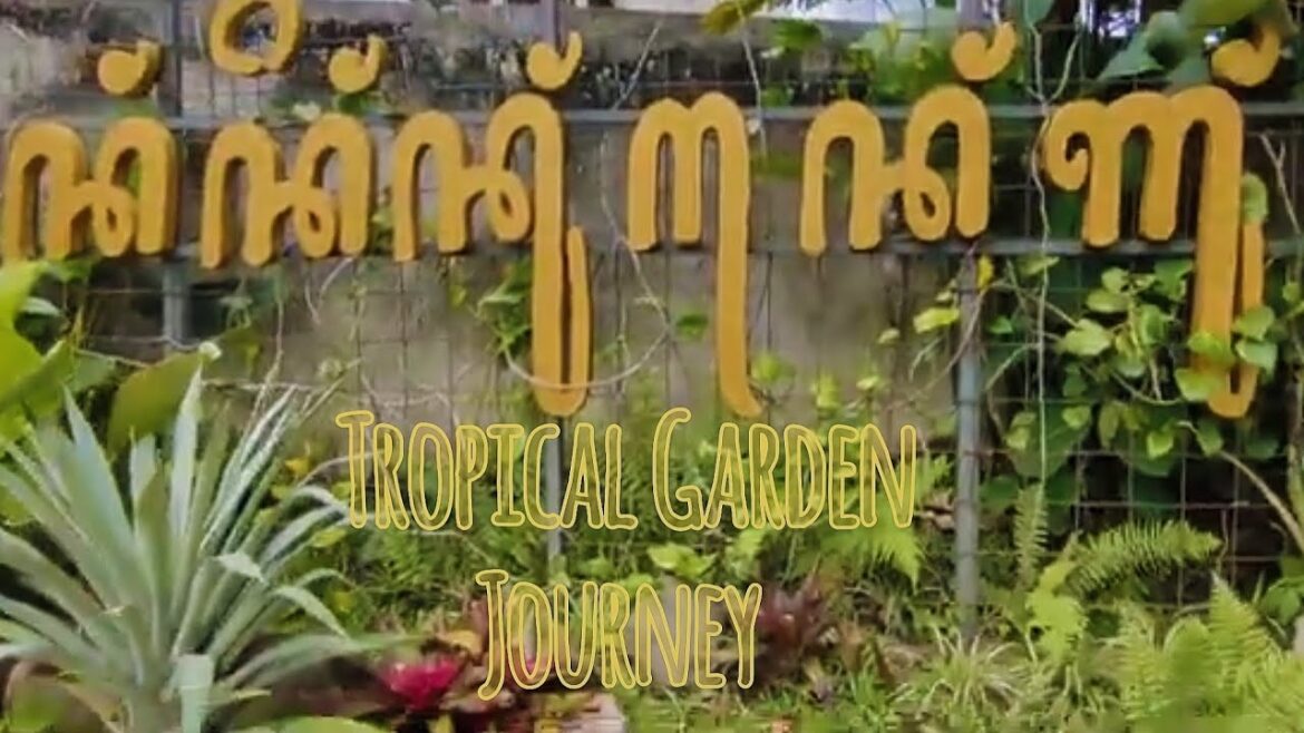 Landscape Garden Front Yard ideas with Art Vintage plants