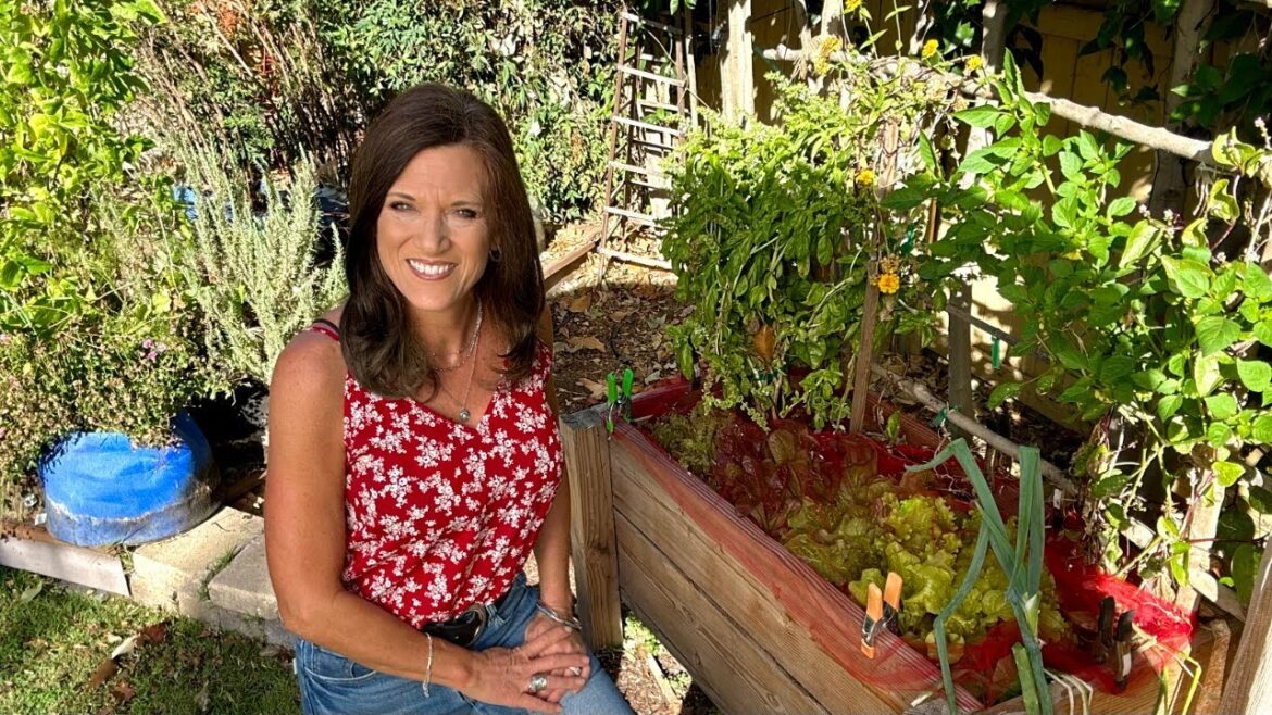 CaliKim: 🍅LIVE: How to Find Your Ideal Raised Bed Number 🍅LIVE: How to Find Your Ideal Raised Bed Number