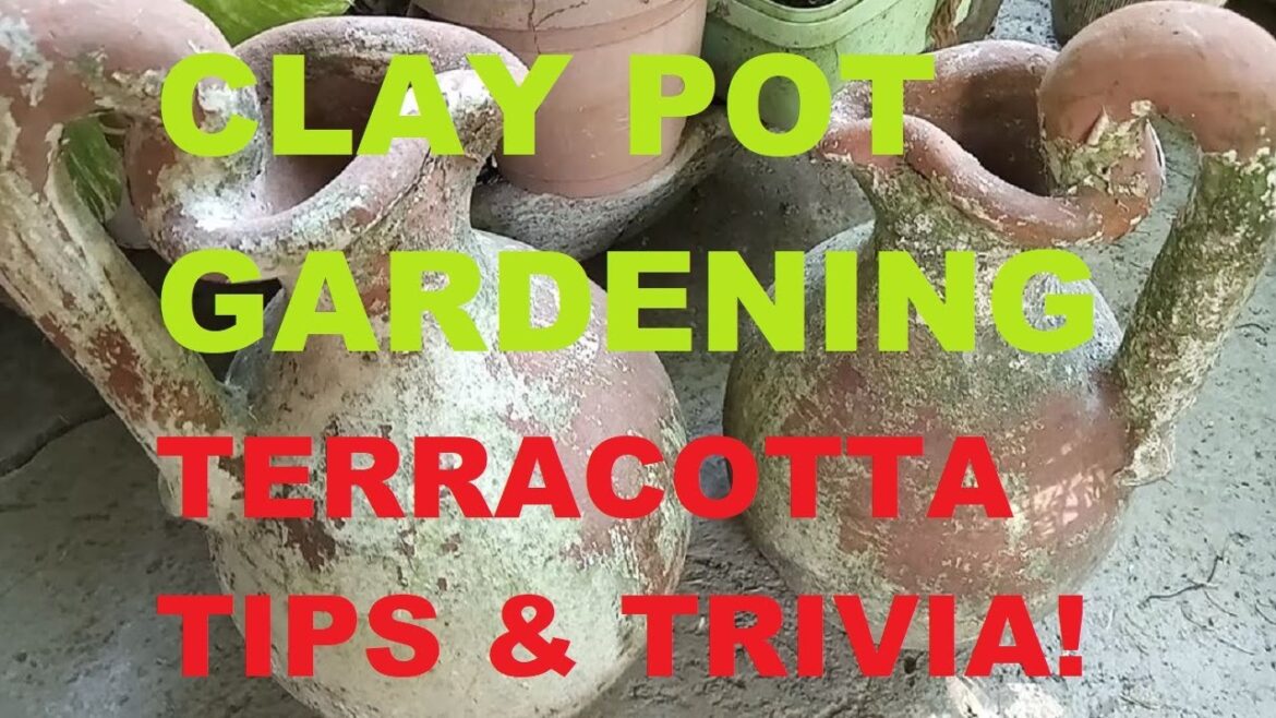 CLAY POT GARDENING | TERRACOTTA POTS | TRIVIA ON CLAY POTS | GARDENING PHILIPPINES