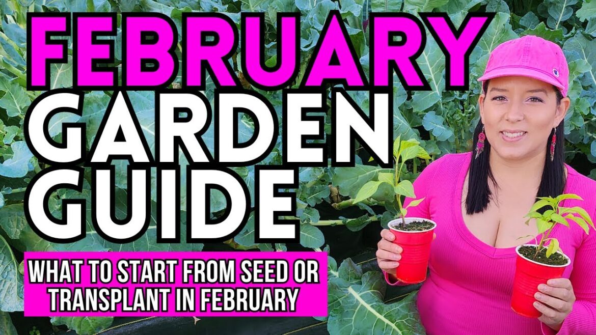 February Garden Guide: What To Start From Seed Or Plant NOW #garden #gardeningtips #vegetablegarden