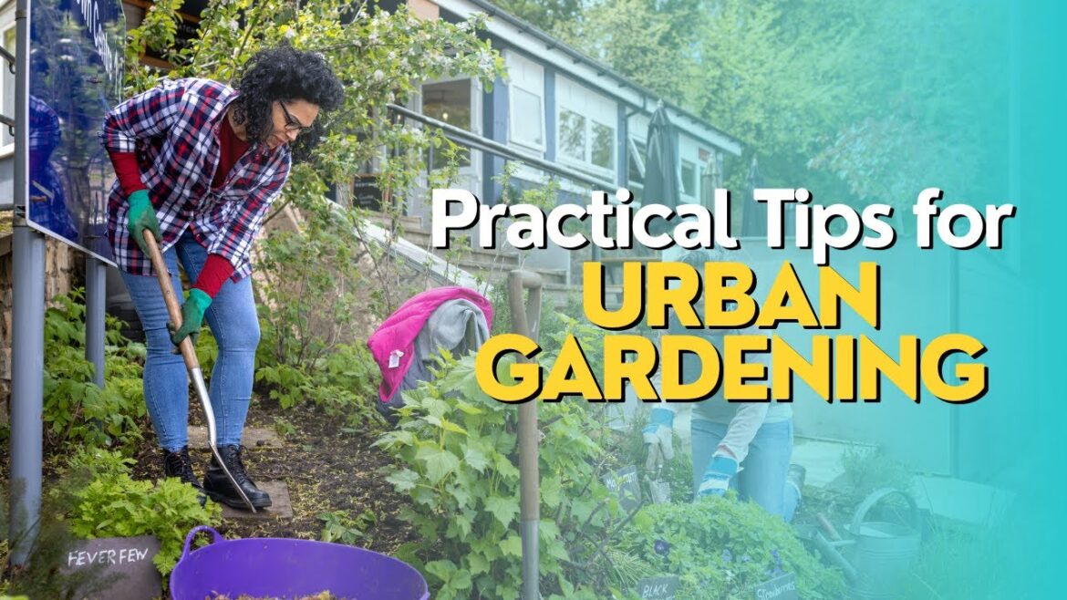 Practical Tips for Urban Gardening
