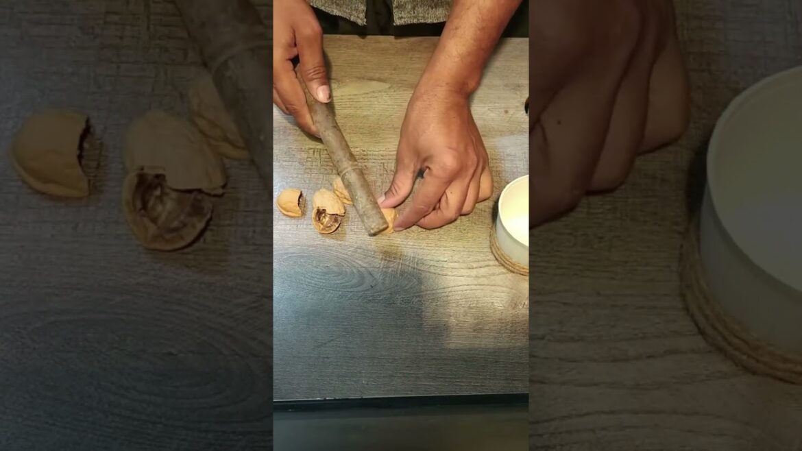 Handmade pot craft ideas | | flower pot | beautiful plant pot #gardening #GardenAnswer #flowers Handmade pot craft ideas | | flower pot | beautiful plant pot #gardening #GardenAnswer #flowers