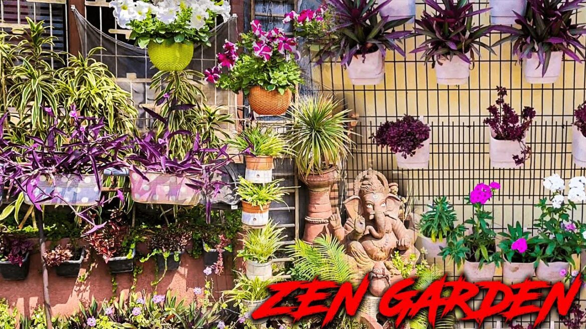Gardening Ideas For beginners at Home | simple garden design ideas | Flower plants for home Garden