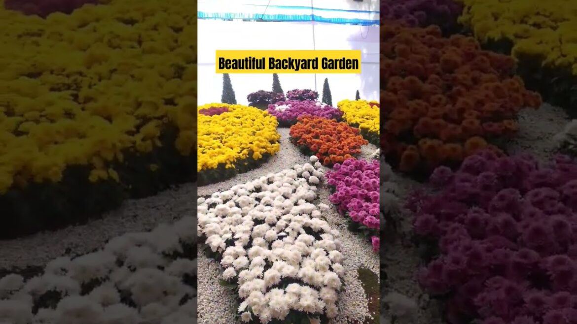 Beautiful Backyard Garden | Garden Design Ideas #trending #viralvideo
