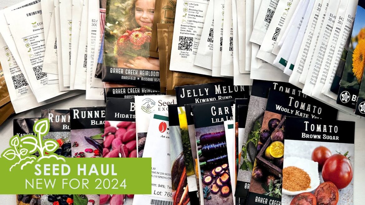 Seed Haul, New for 2024 Seed Haul, New for 2024