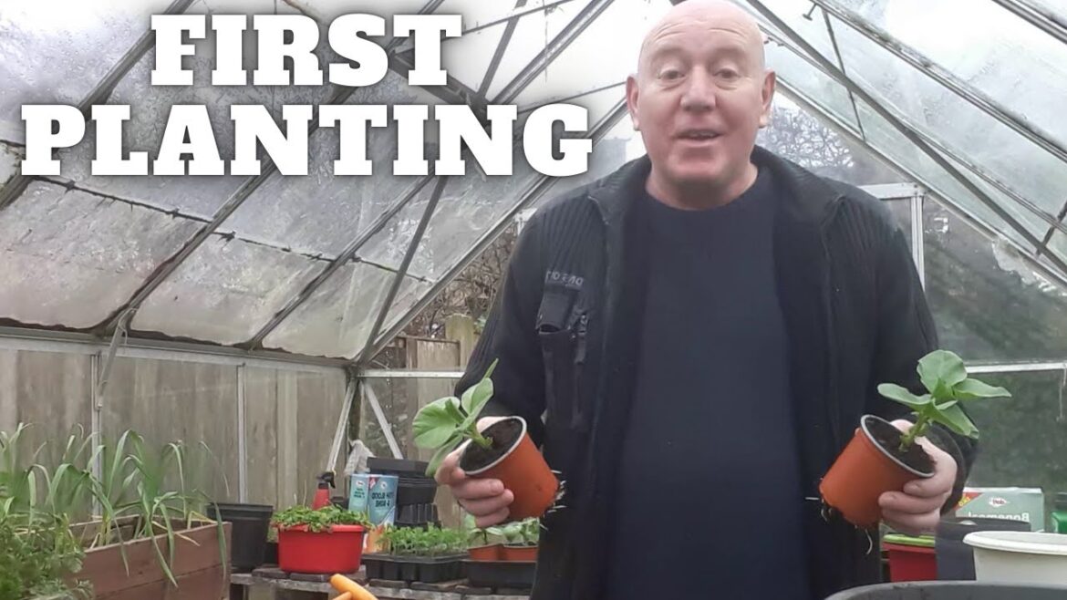 My First Planting [Gardening Allotment UK] [Grow Vegetables At Home ]