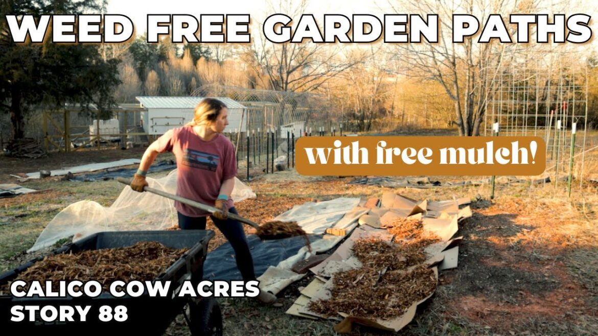 Making Weed-Free Garden Paths With FREE Mulch | Homestead Projects | Garden Design Making Weed-Free Garden Paths With FREE Mulch | Homestead Projects | Garden Design