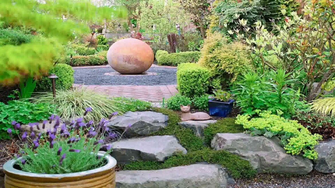 Backyard Landscaping Ideas South Florida