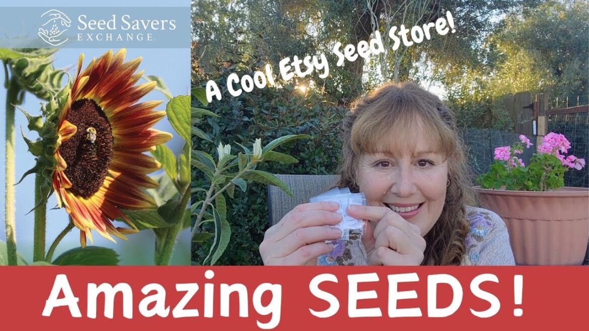SEED Catalogs & a Seed HAUL! Where to Buy Great Seeds and Plants?