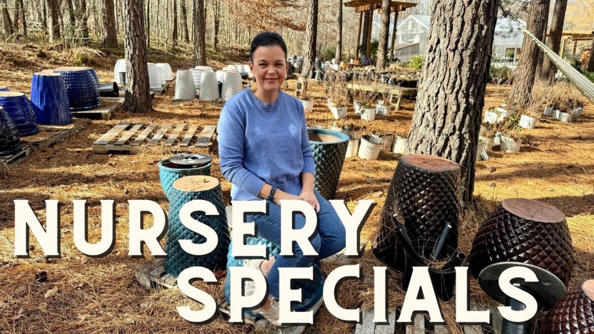 Announcing End-of-Season Specials