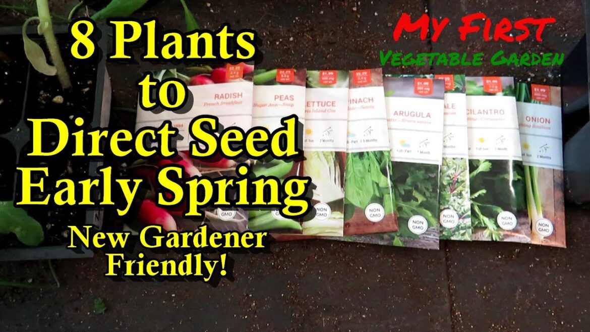 8 Garden Plants for New Gardeners to Direct Seed in the Spring & Fall: Frost Tolerant Crops